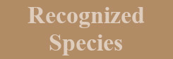 Recognised Species